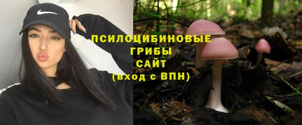 гидра Инсар