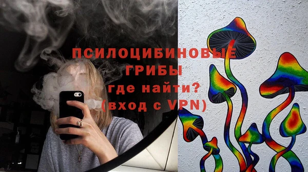гидра Инсар