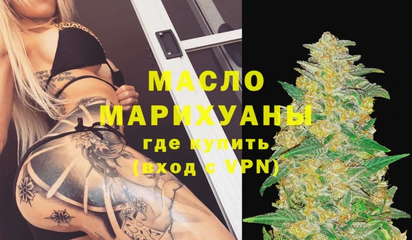 гидра Инсар