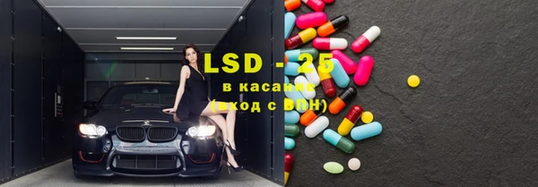 гидра Инсар