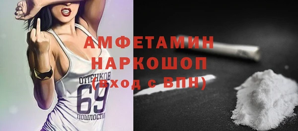 гидра Инсар