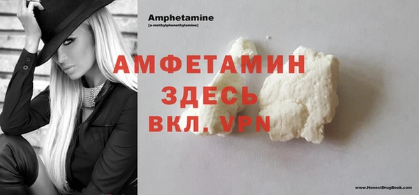 гидра Инсар