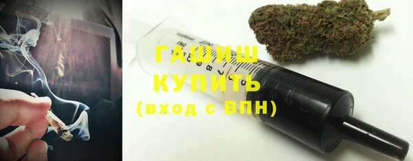 гидра Инсар