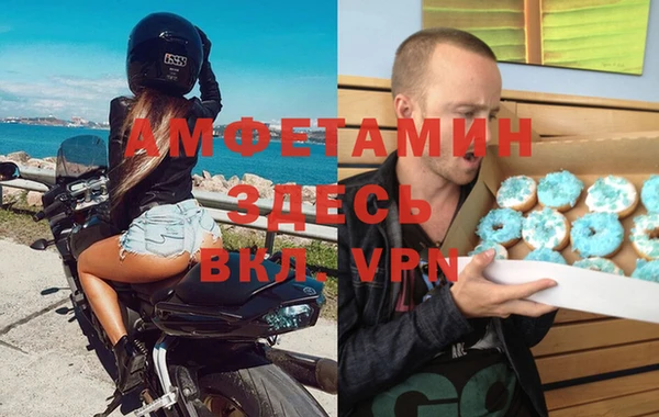 гидра Инсар