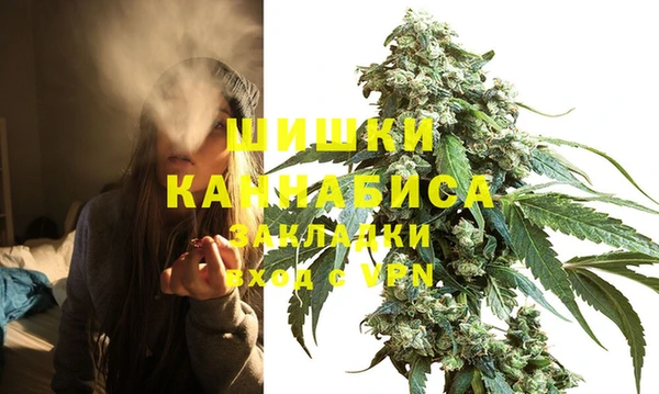 PSILOCYBIN Иннополис