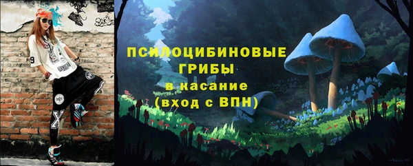 PSILOCYBIN Иннополис
