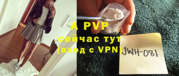 гидра Инсар