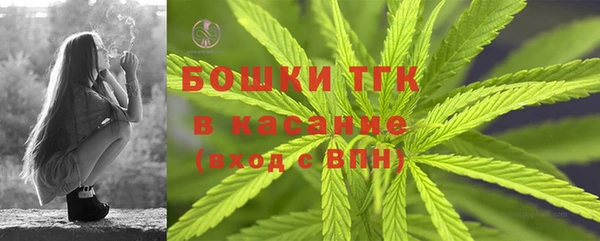 гидра Инсар