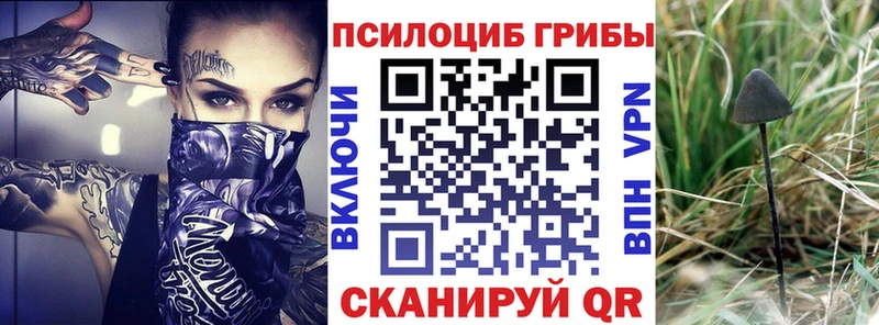 купить наркотик  Батайск  Галлюциногенные грибы мицелий 